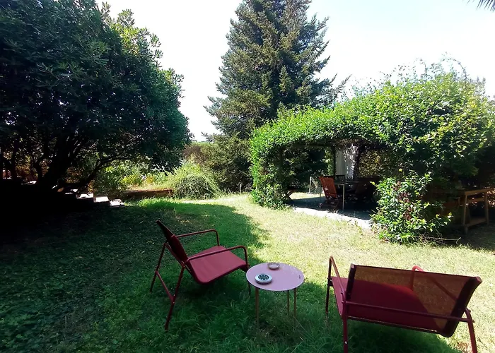 The Olive Grove Rom